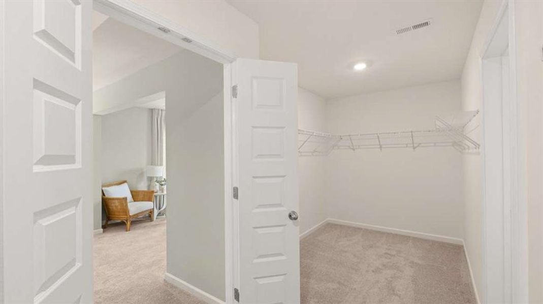 Spacious, unfurnished interior of a new home in Heritage Pointe, Senoia (Image 56).