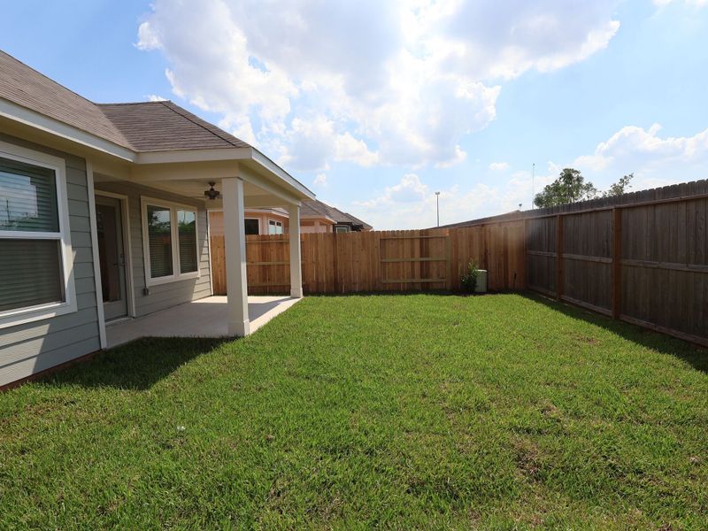 Backyard