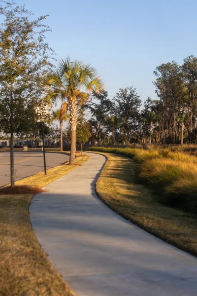 Natural landscape and outdoor views near  in Charleston (Image 65).