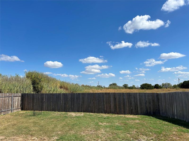 View of fenced backyard with greenbelt View of fenced backyard with greenbelt