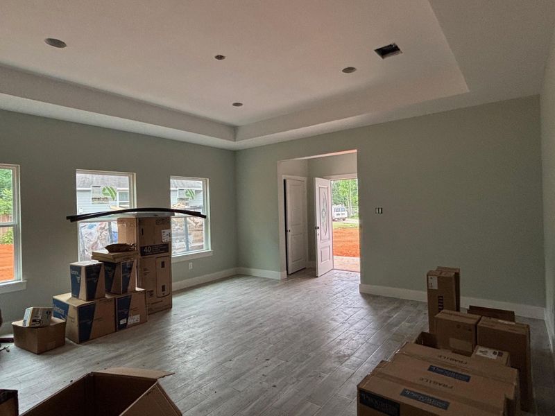 Tray ceiling in living room