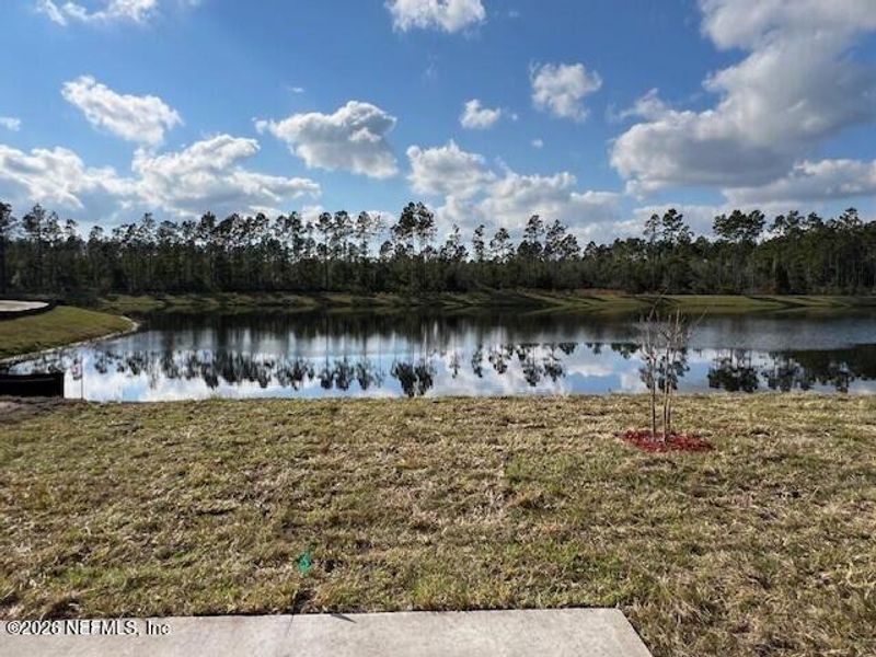 Natural landscape and outdoor views near Sawmill Branch in Palm Coast (Image 39).