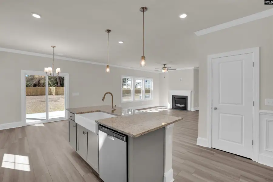Furnished interior view inside a new home in Boykin Hills, Chapin (Image 6).