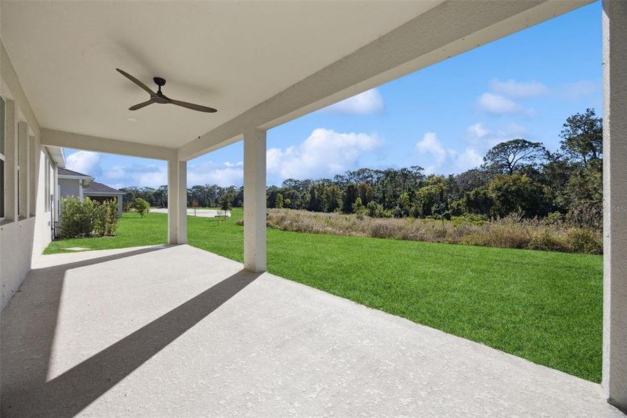 Exterior details and patio area of a home in Pine Glen: Chateau Collection, St. Cloud (Image 4).