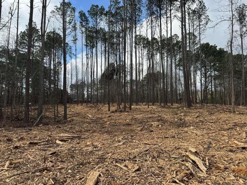 Site preparation for new homesites in , Buchanan (Image 10).