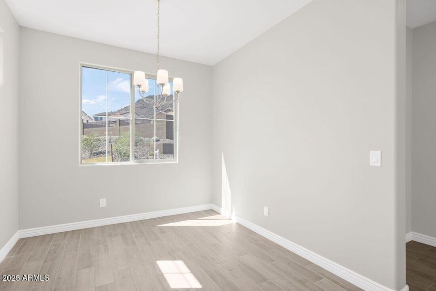 hj-az-phoenix-mystic-discovery-lily-lot-