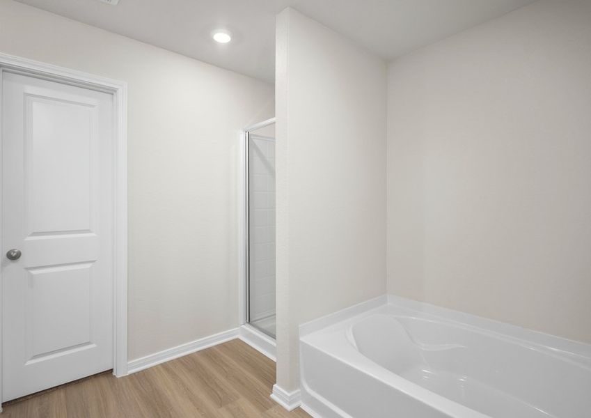 The master bathroom features a step-in shower and a soaker tub.