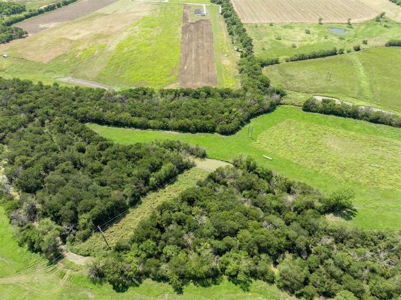Mix of trees, clearing, and creek! Mix of trees, clearing, and creek!