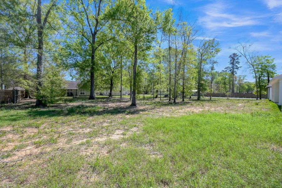 Natural landscape and outdoor views near  in Cleveland (Image 18).