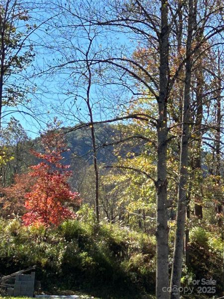 Natural landscape and outdoor views near  in Old Fort (Image 13).