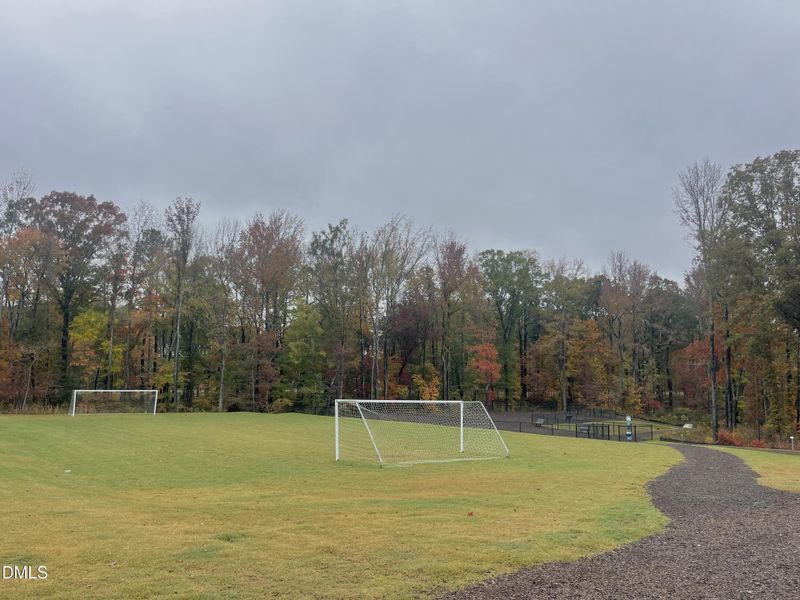 Soccer Field