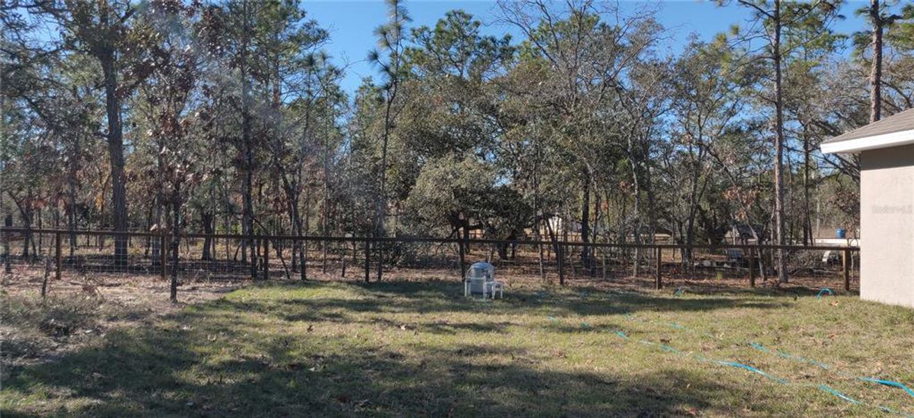 Natural landscape and outdoor views near Royal Highlands in Brooksville (Image 15).