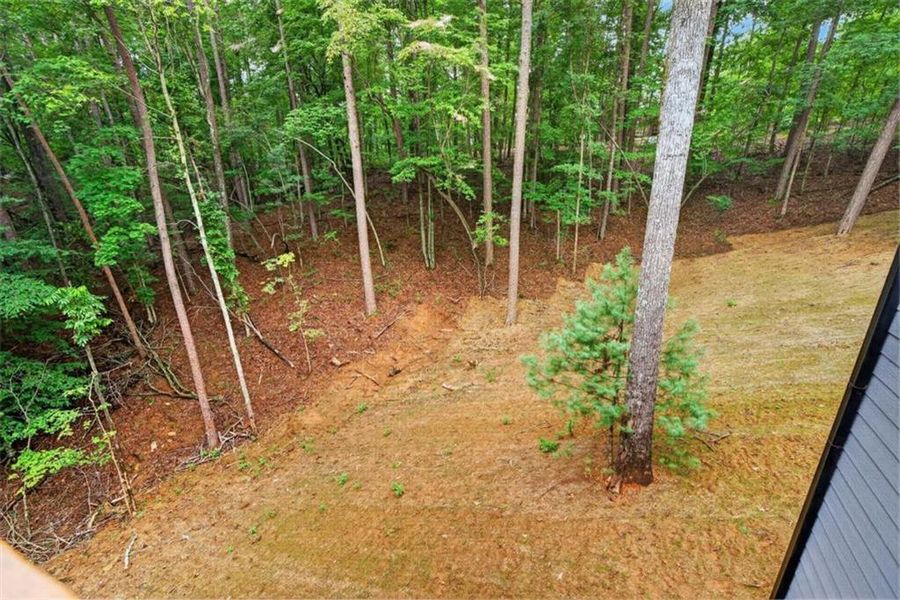 Natural landscape and outdoor views near in Ellijay (Image 33). Natural landscape and outdoor views near in Ellijay (Image 33).
