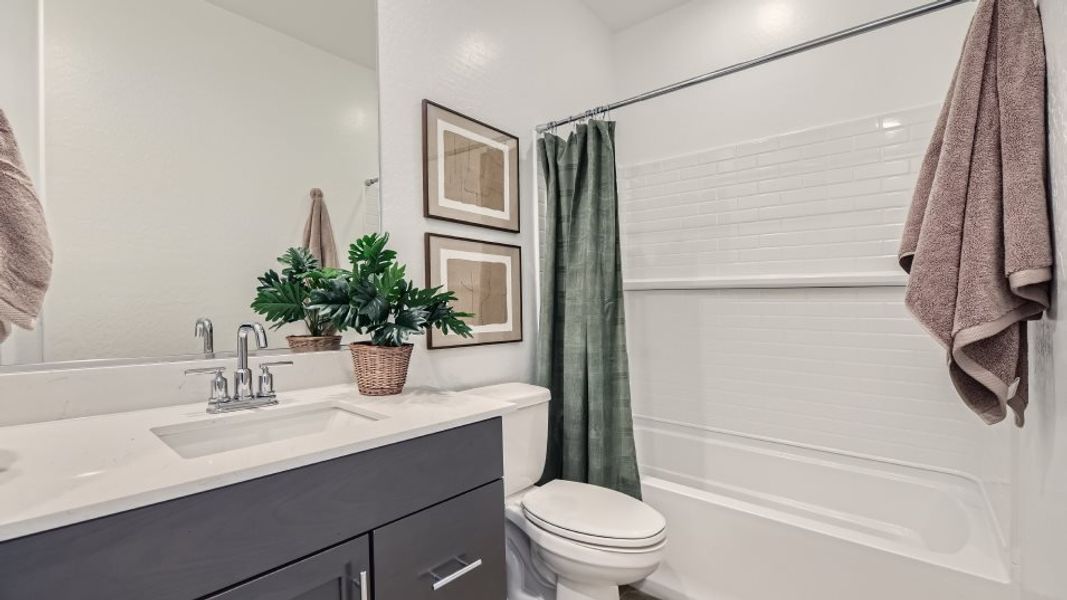 Verdin Bathroom 2 Verdin Bathroom 2