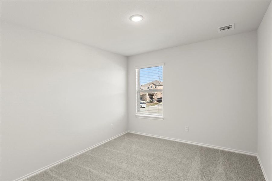 21. 3312 Sedge Grass - Bed 3