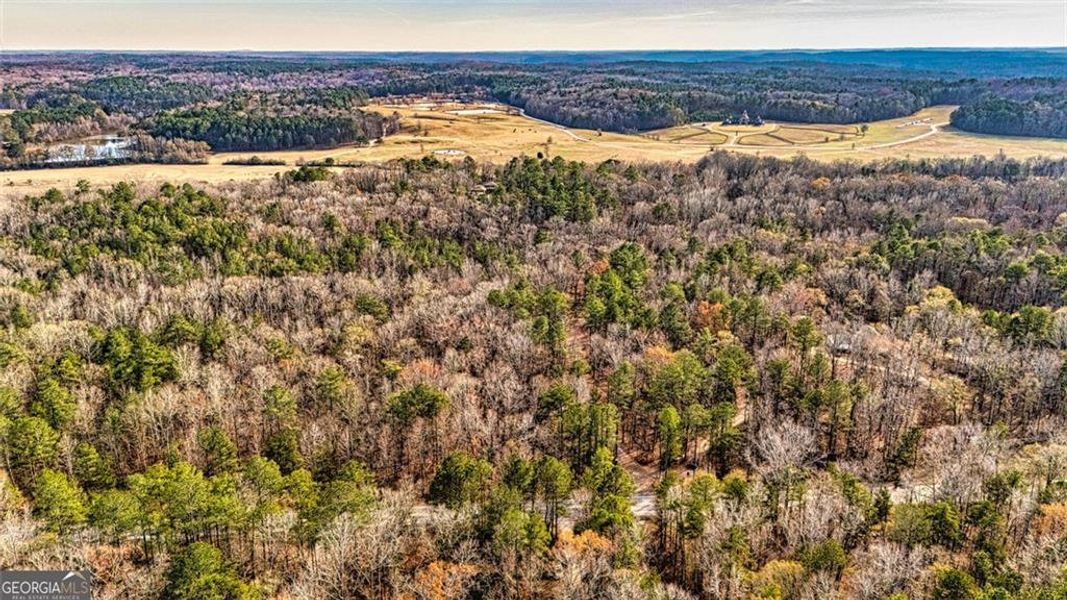 Natural landscape and outdoor views near  in Douglasville (Image 17).