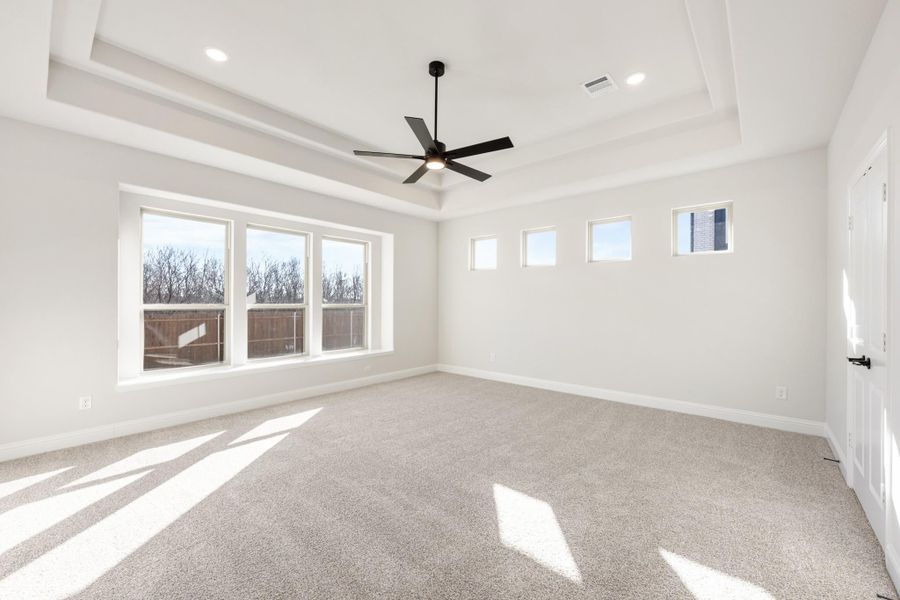 Empty bedroom with tray ceiling, ceiling fan, carpet flooring, and large windows