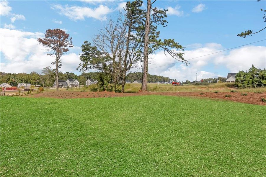 Natural landscape and outdoor views near Poppy at GreenHouse in Marietta (Image 26).