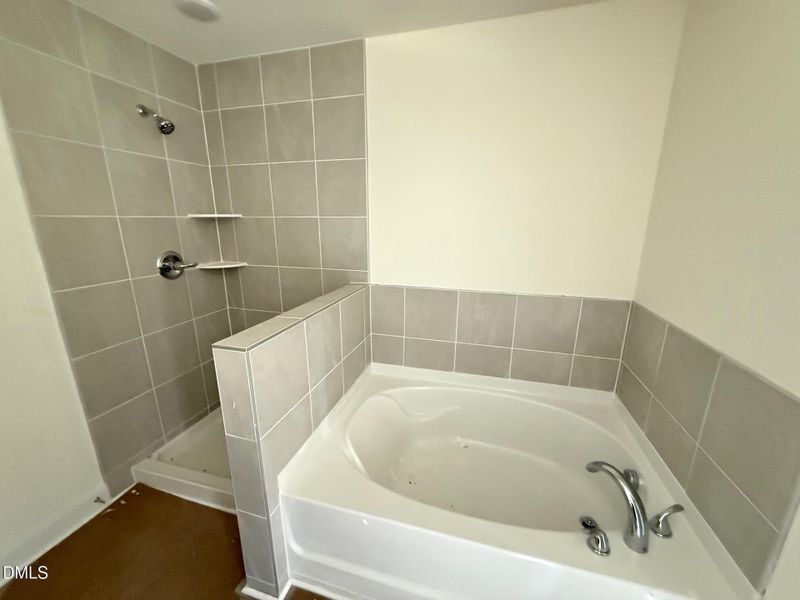 Deluxe primary bathroom