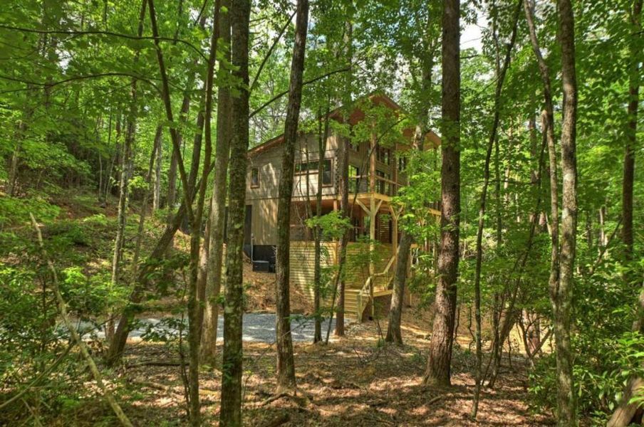 Natural landscape and outdoor views near  in Blue Ridge (Image 49).