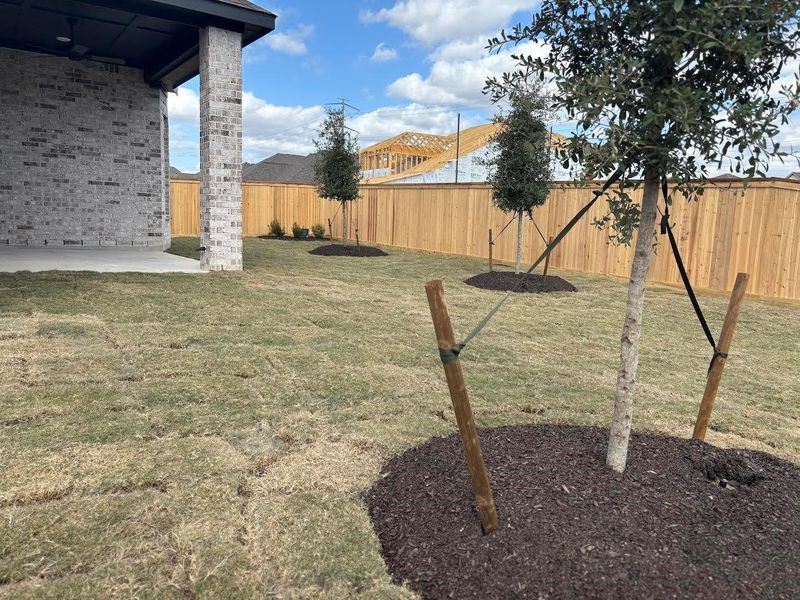 Exterior details and patio area of a home in Bridgeland 55', Cypress (Image 3). Exterior details and patio area of a home in Bridgeland 55', Cypress (Image 3).