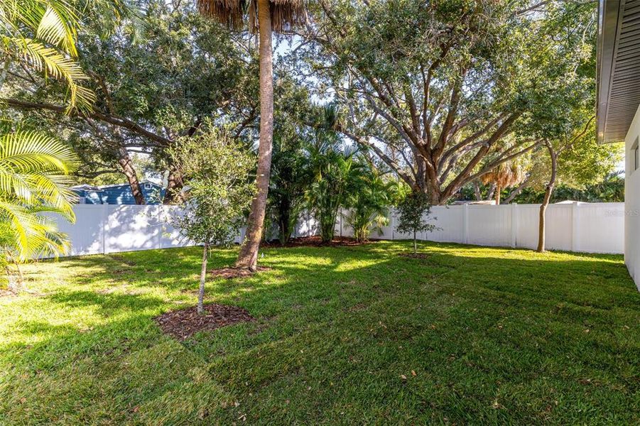 Exterior details and patio area of a home in , Tampa (Image 29).