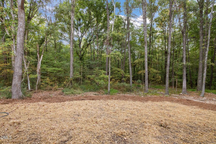 50-web-or-mls-P1087016