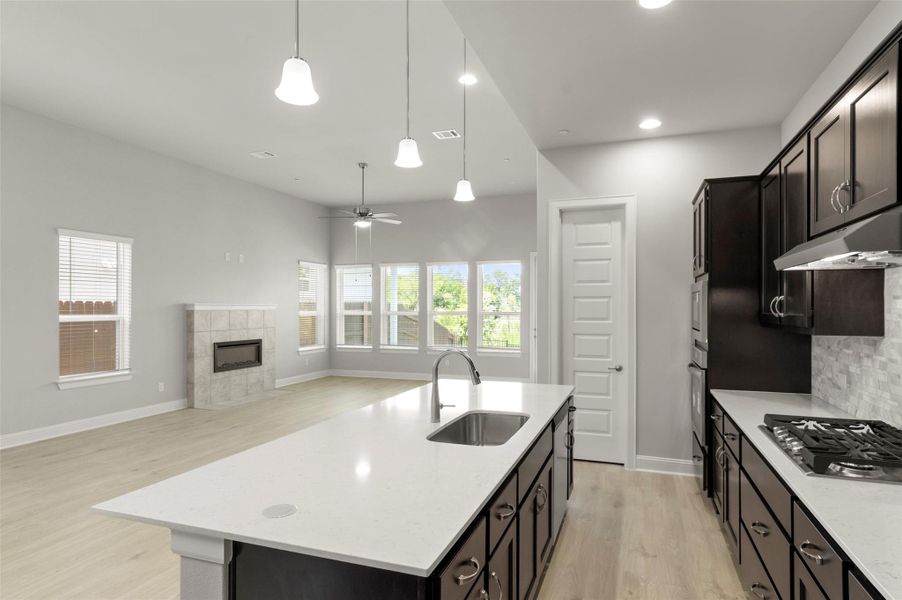 Kitchen featuring appliances with stainless steel finishes, under cabinet range hood, light wood-type flooring, a fireplace, and plenty of natural light Kitchen featuring appliances with stainless steel finishes, under cabinet range hood, light wood-type flooring, a fireplace, and plenty of natural light