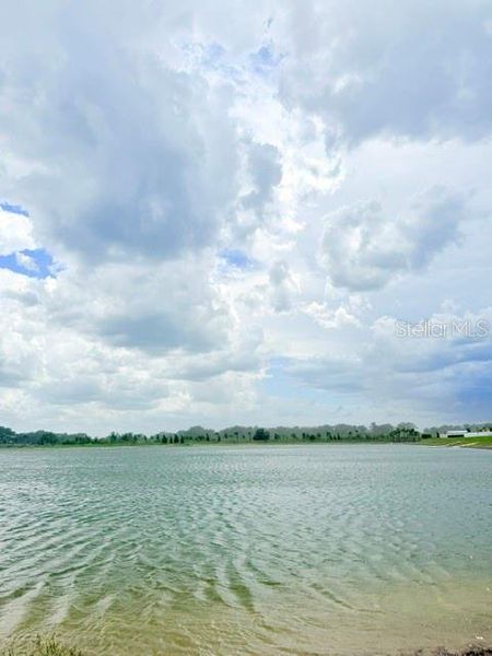 Natural landscape and outdoor views near  in Winter Haven (Image 28).