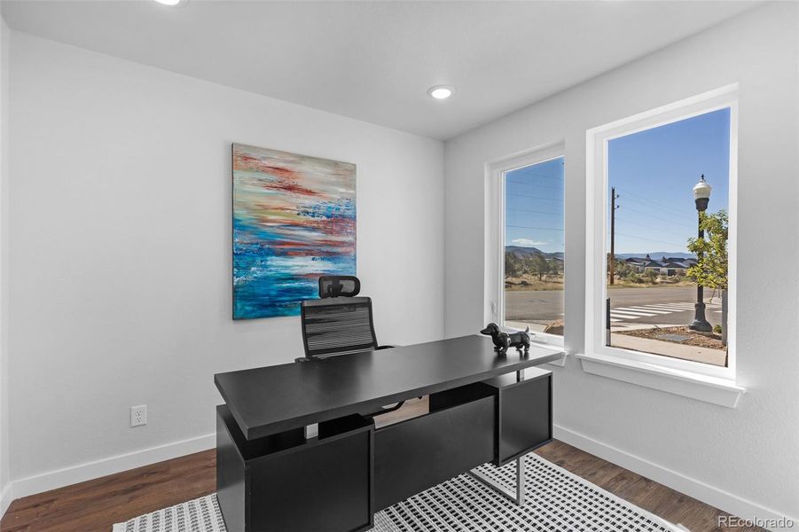 Downstairs Office/BR