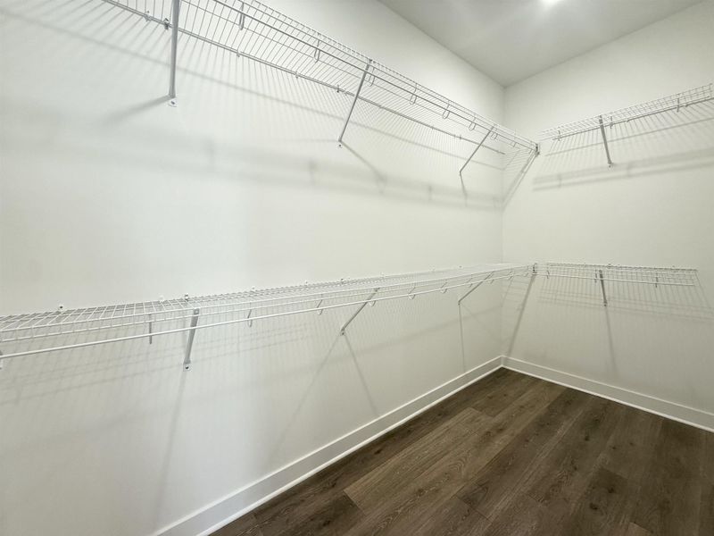 Walk in closet featuring dark wood-style floors