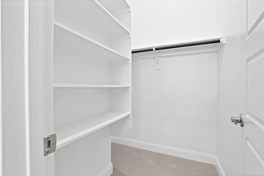 Spacious closet featuring carpet flooring