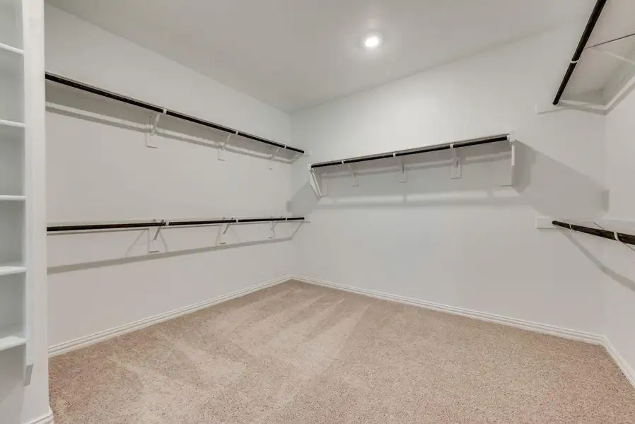 Walk in closet with light colored carpet