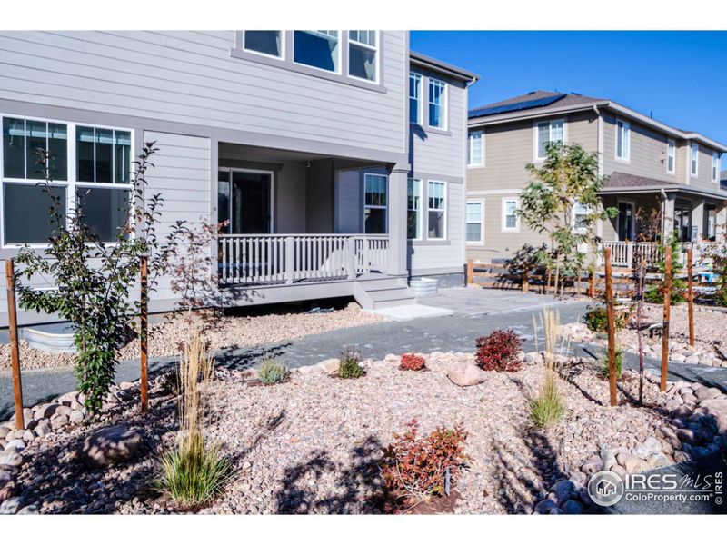 Xeriscape back yard Xeriscape back yard