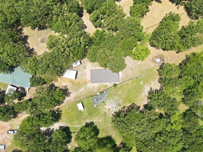 Yard is a good mix of open space and tree coverage.
