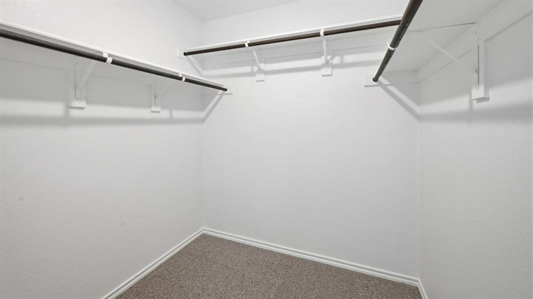 Spacious closet with carpet flooring Spacious closet with carpet flooring