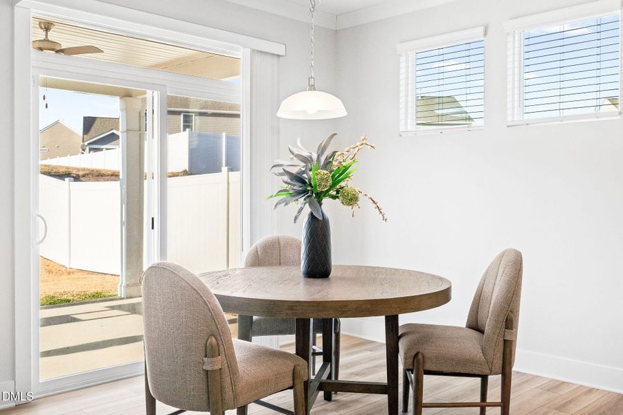 20-web-or-mls-DSC09729