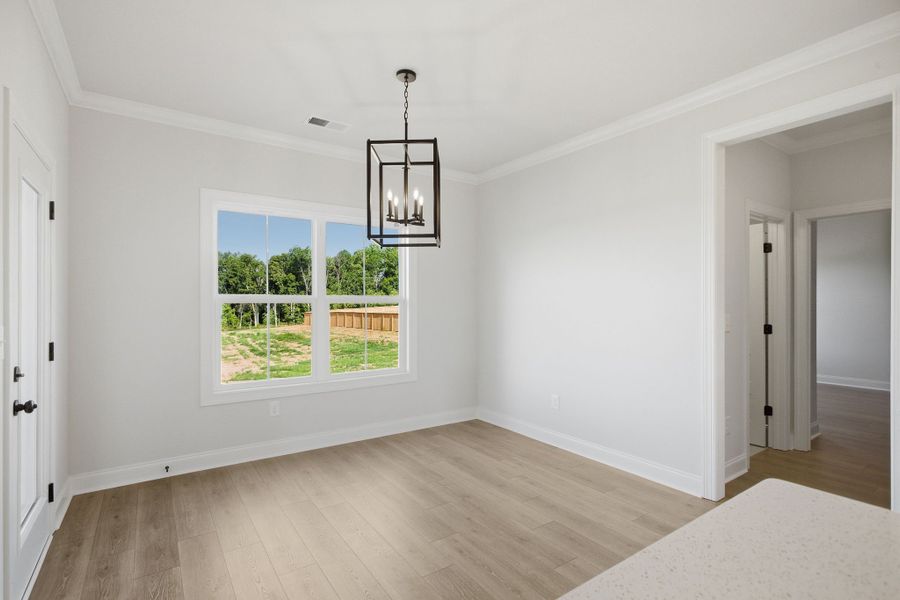 Spacious, unfurnished interior of a new home in Cherokee Knoll, Williamston (Image 16).