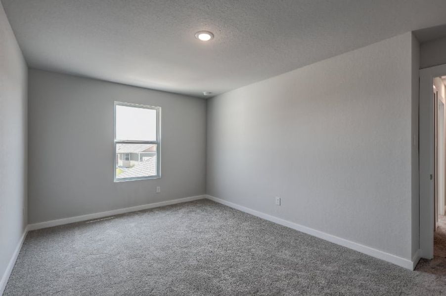 A room with a carpet and windows. A room with a carpet and windows.