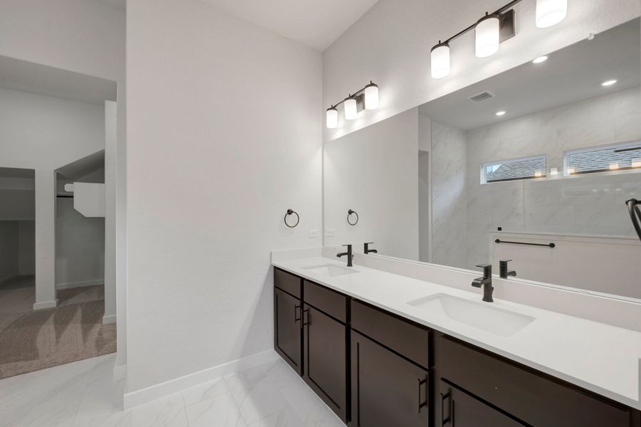 Owner's Bath