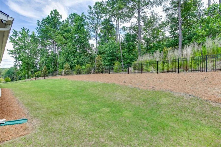 Natural landscape and outdoor views near Overlook at Lanier in Buford (Image 51).