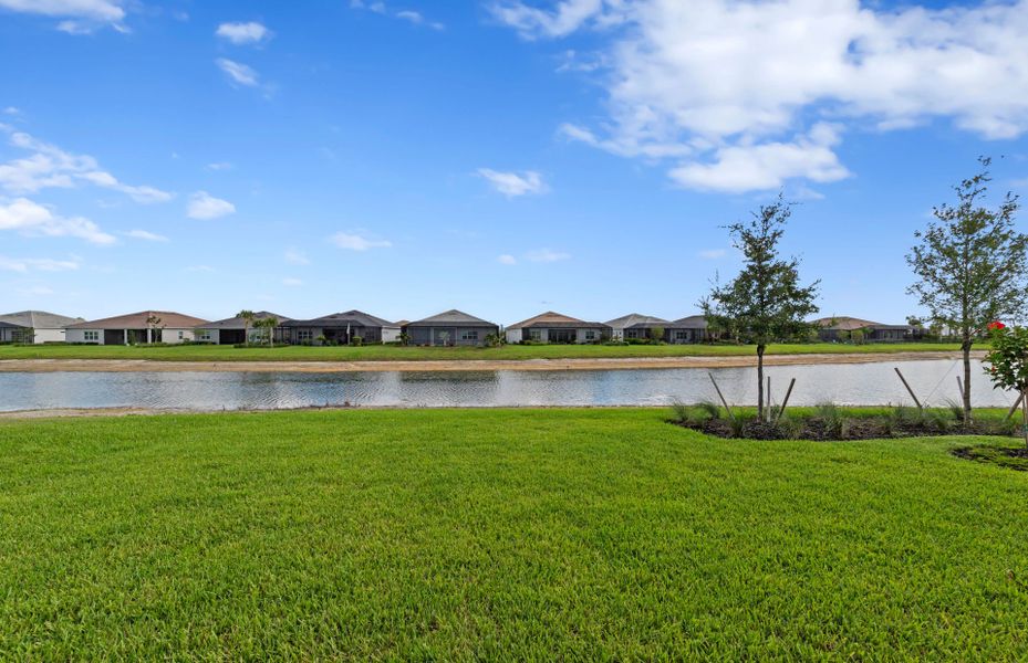 Natural landscape and outdoor views near TerraWalk at Babcock Ranch in Alva (Image 17). Natural landscape and outdoor views near TerraWalk at Babcock Ranch in Alva (Image 17).