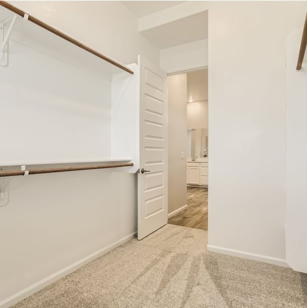 Revelation Owners Suite