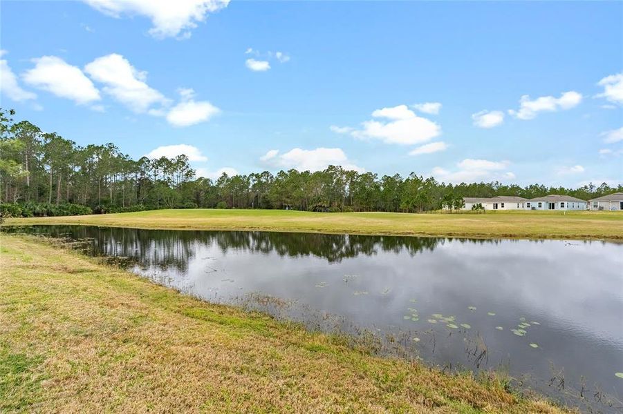 Natural landscape and outdoor views near  in Bunnell (Image 39).