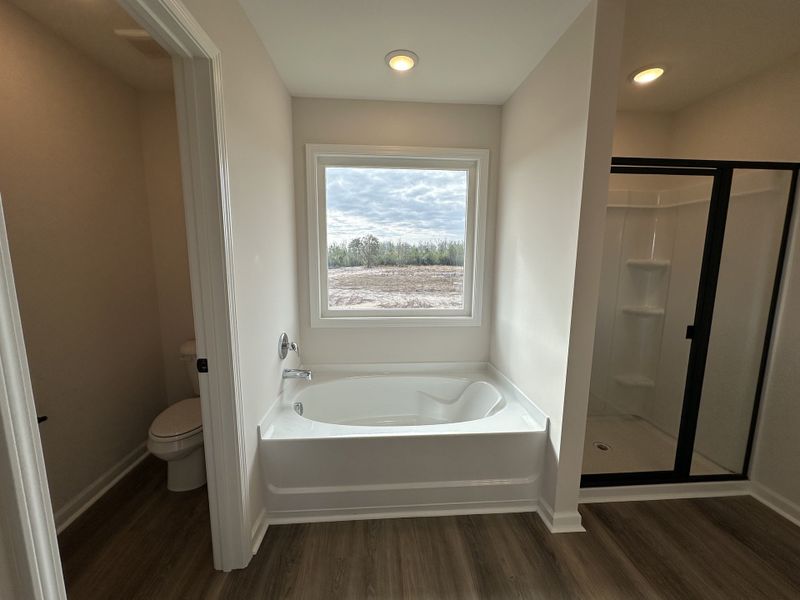 Furnished interior view inside a new home in Tibet Road at Sassafras, Allenhurst (Image 9).