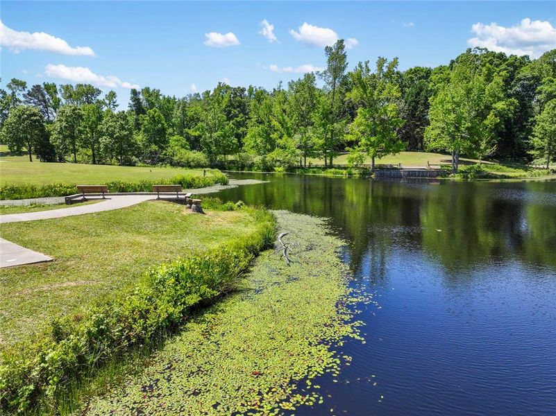 Natural landscape and outdoor views near  in Snellville (Image 65).