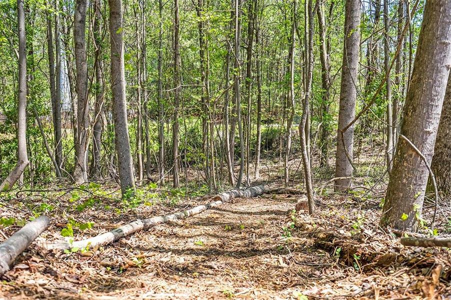 Natural landscape and outdoor views near Aster in Roswell (Image 11).