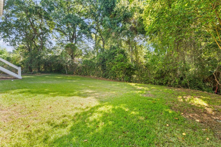 Natural landscape and outdoor views near in Charleston (Image 59). Natural landscape and outdoor views near in Charleston (Image 59).