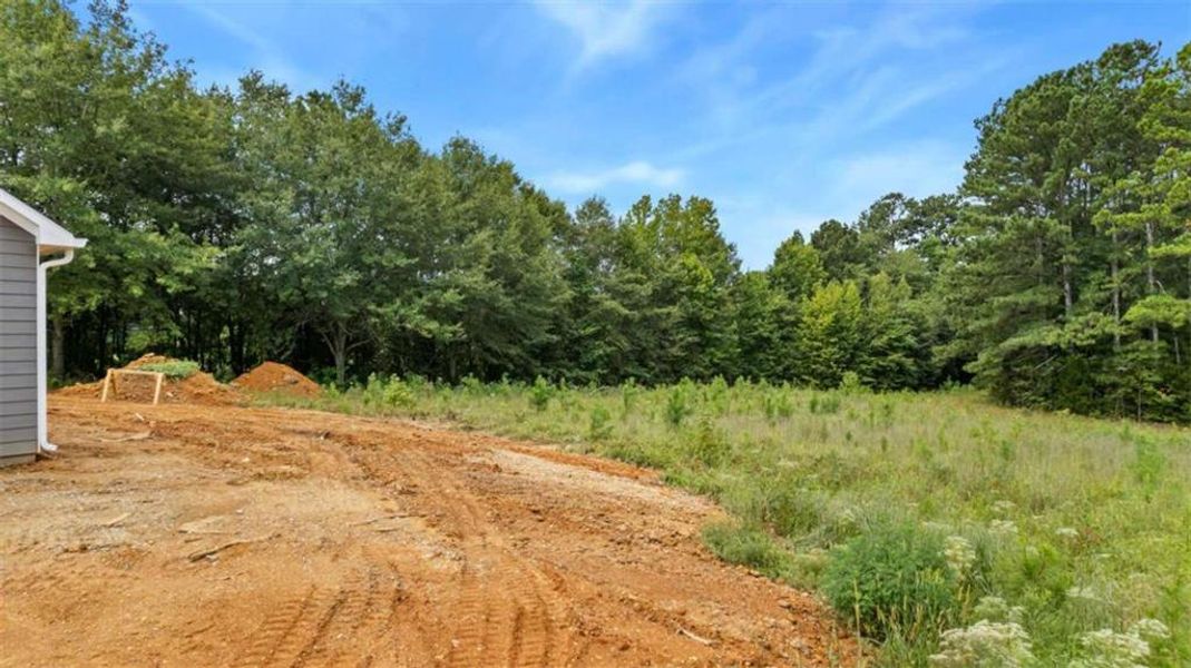 Front exterior of a new home in , Cedartown, GA, highlighting curb appeal (Image 17).