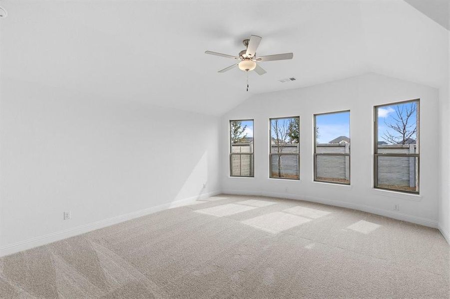 DAL_Painted Tree_Concord_3913 Attwater Street (17) DAL_Painted Tree_Concord_3913 Attwater Street (17)